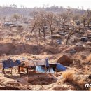 금광자원 이미지