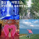 프로방스펜션 | 겨울 국내 가족여행지 추천 경북 대구 근교 가볼만한곳 실내 숙소