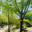 동우공인중개사사무소 이미지