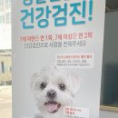 로아동물병원 이미지