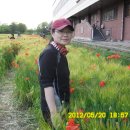 중앙역(신도시) 이미지