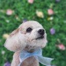 아토살롱 이미지