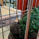 개나리공원3 | 동탄 회식 추천 | 개나리공원 &#39;이나카야&#39; 저녁 방문 후기