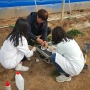 토양검정실 이미지