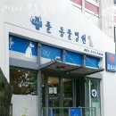 24시폴동물병원 | 성남 정자동 동물병원 24시 폴동물병원 진료시간 접근성 이용후기