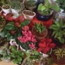 햇님세탁소 이미지