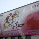 용인농촌 테마파크(용인봄꽃 축제) 이미지