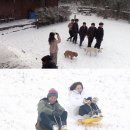 다정한 민박 이미지