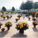 와이엠컴퍼니 이미지