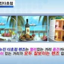 파프리카안경 이미지