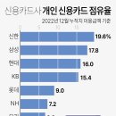 신용카드사 개인 신용카드 점유율 순위 이미지