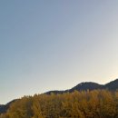 신덕1리 공중화장실 | 경주 가을 여행지 추천 : 은행나무숲 도리마을