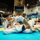 팀레드주짓수&MMA