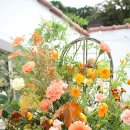 마루flower 이미지