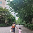 26년6월9일 연서 29개월 쵸파랑 이미지