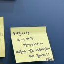 도그마캣남양주