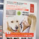 펫넘버원 이미지