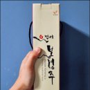 20260430_1일1술: 생약주, 만세 보령주