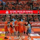 강서체육공원 | 첫 배구직관_ 부산 강서체육공원 실내체육관 남배 OK저축은행