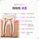 아르떼치과의원 이미지