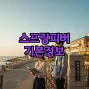 청하중학교 | 스프링피버 기본정보 등장인물 OTT 안내