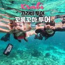 끄라비 꼬록꼬하 투어 예약 가격 태국 최고의 스노클링 수중 환경