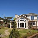 비야대정로 이미지