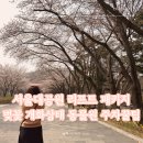 나들목가든 | 서울대공원 리프트 패키지 벚꽃 동물원 주차 과천 방문 후기