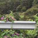 원동재로 이미지