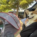 애향동산 이미지