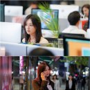 나의 해방일지 이미지