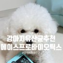 강아지변비에 좋은 강아지유산균추천 에이스프로바이오틱스 급여후기 feat퐁이먹방