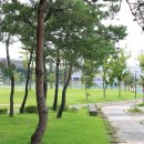 밀팟 - 고양시 일산서구 중앙로 1436 | 밀팟