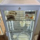 위트 구내식당