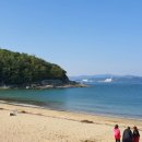 일월애관광농원 이미지