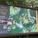 임실쌀피자 이미지