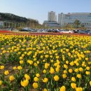 군청 앞 이미지