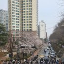 2015046 | 건대입구역 자양역 열공 명당 찾기! 건대입구 스카...모어스터디카페' 자양동 스터디룸 대여까지 완벽정리