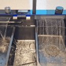 엘리스테이 이미지