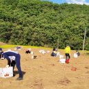 우보면 행정복지센터 이미지