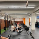 코알라패밀리 이미지