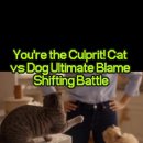 강아지와 고양이(Dog & Cat) 이미지