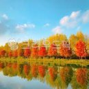 프로방스 이미지