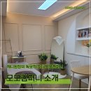 모모컴퍼니 이미지