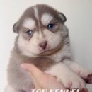 탑 프리미엄 이미지