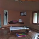 거북이가든 이미지