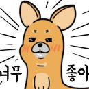 와규앤막창 이미지