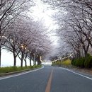 길번 이미지