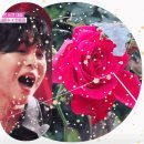 "최애돌셀럽" 바로가기 <b>링크</b><b>타고</b>ㅡ^^