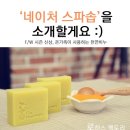 리즈테라피 이미지